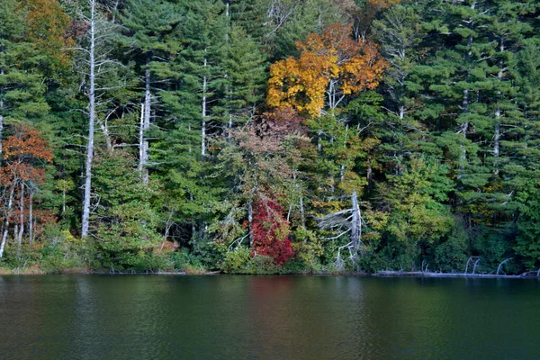 ノースカロライナ州の滝の紅葉 — ストック写真