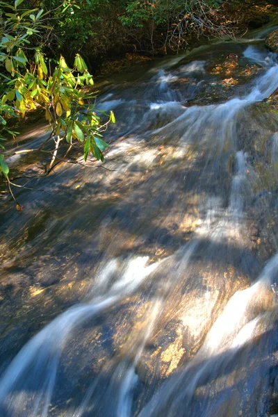 Cores Queda Cercam Quedas Água Carolina Norte — Fotografia de Stock