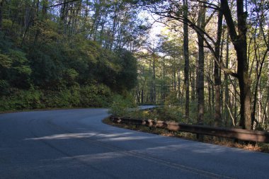Blue Ridge Parkway 'de Manzaralı Sonbahar Renkleri