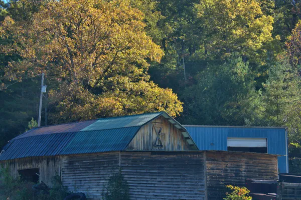 Fall Colors Surround Water Falls North Carolina — Stock Photo, Image