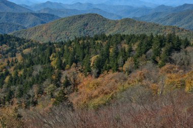 Blue Ridge Parkway 'de Manzaralı Sonbahar Renkleri