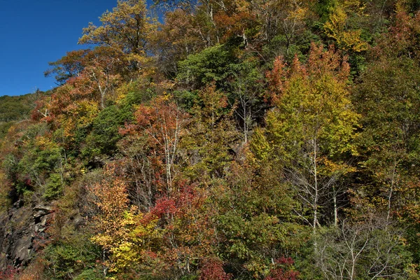 Malownicze Kolory Jesieni Otaczają Starą Budowlę Pobliżu Blue Ridge Parkway — Zdjęcie stockowe
