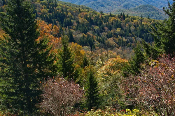 Malownicze Kolory Jesieni Blue Ridge Parkway — Zdjęcie stockowe