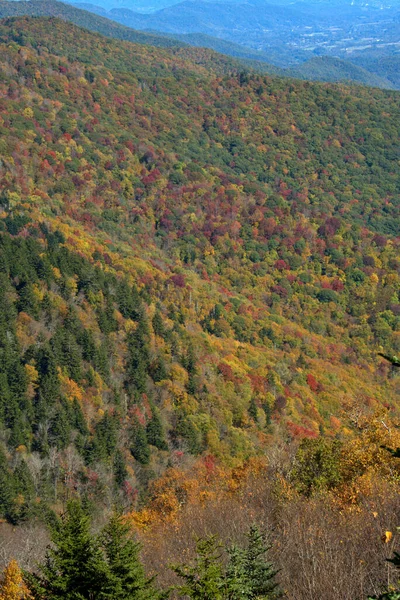 Sceniske Høstfarver Omgir Gammel Struktur Nær Blue Ridge Parkway – stockfoto