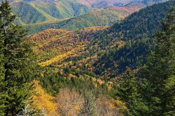 Cores Queda Cênica Blue Ridge Parkway — Fotografia de Stock