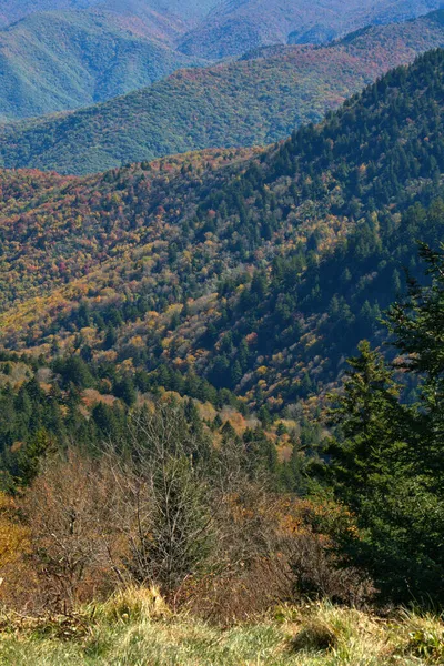 Scenic Fall Colors Blue Ridge Parkway — Stockfoto