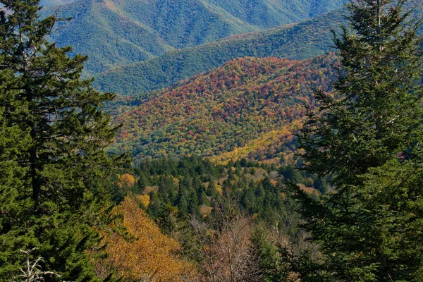 蓝岭道上的景致落色 — 图库照片