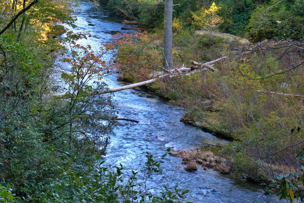 Couleurs Automne Scéniques Sur Promenade Blue Ridge — Photo