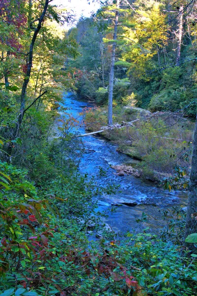 Γραφικά Χρώματα Πτώσης Στο Blue Ridge Parkway — Φωτογραφία Αρχείου