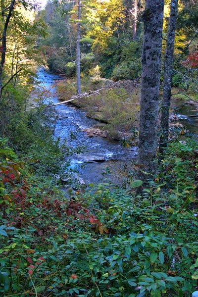 Scenic Fall Colors Mountain Stream North Carolina — Stock Photo, Image