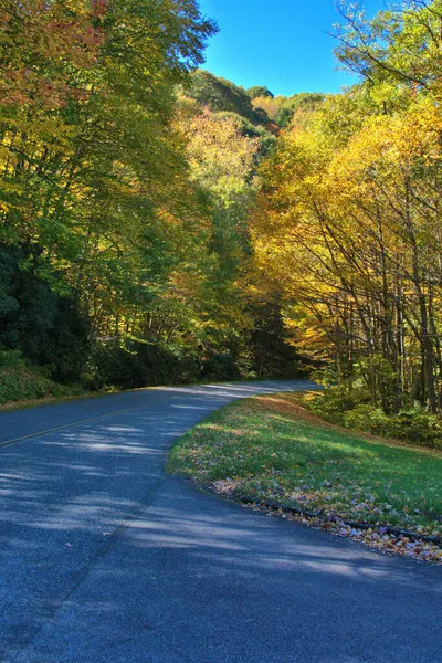 Живописные Осенние Цвета Зеленого Желтого Вдоль Извилистого Голубого Переулка — стоковое фото