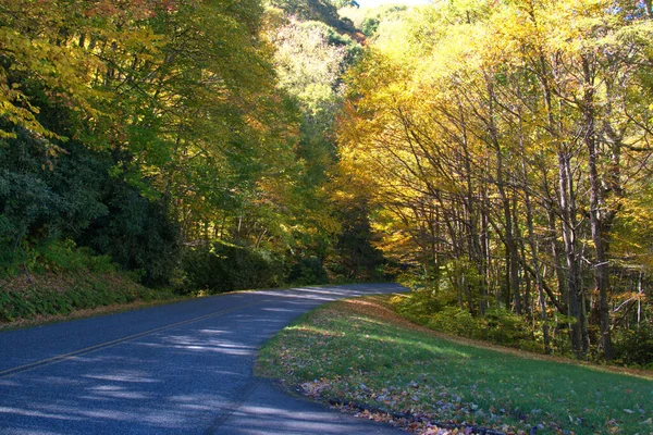 蓝岭道上的景致落色 — 图库照片