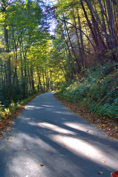 山の道の秋の色をピーク日 — ストック写真