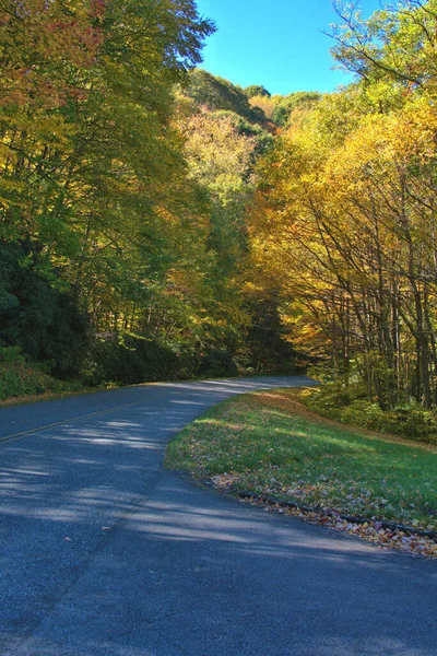 Caída Escénica Colores Hojas Amarillas Blue Ridge Parkway —  Fotos de Stock