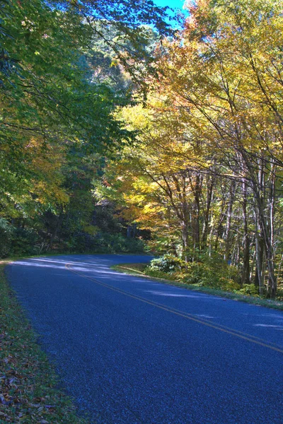 Naturlige Høstfarger Blue Ridge Parkway – stockfoto