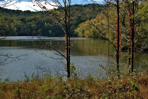 山の湖に沿って美しい秋の色が現れ始めている — ストック写真