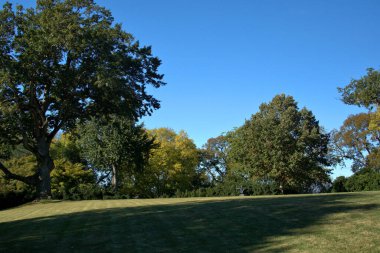 Manikürlü yeşil çayırın etrafındaki ağaçlarda sonbahar renkleri görülüyor.