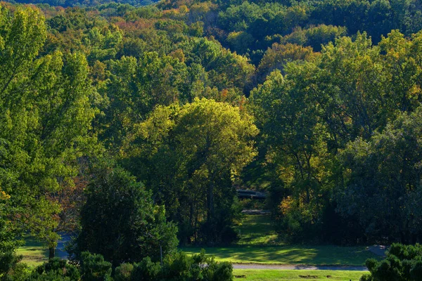 起伏的山丘上的秋天的树木景观 — 图库照片