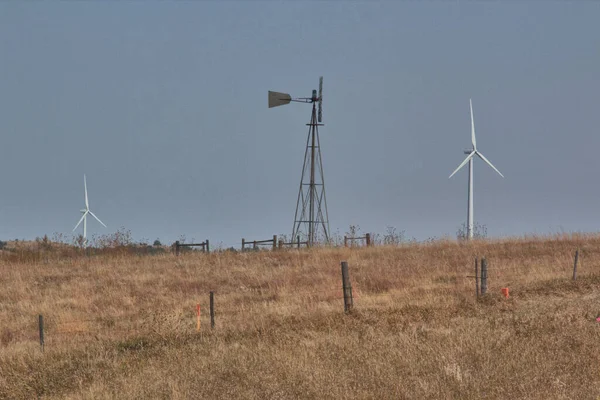 以风力发电机为背景的牛场风车抽水 — 图库照片