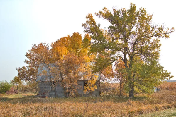 Здание Фермы Окружено Осенними Цветами — стоковое фото