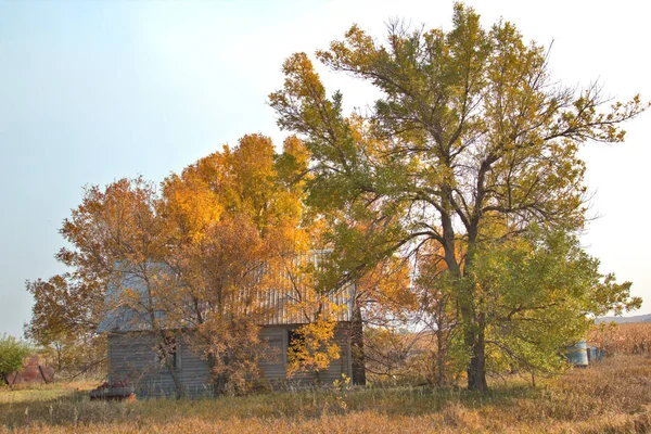 Des Couleurs Automne Colorées Entourent Bâtiment Stockage Agricole — Photo