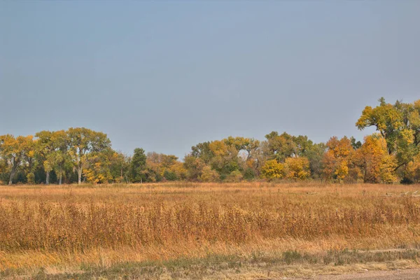Небольшие Речные Ветры Проходят Через Осенний Пейзаж Среднем Западе — стоковое фото
