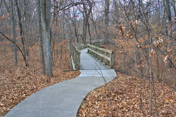 曲がりくねった道は森の秋の色の木の橋につながる — ストック写真
