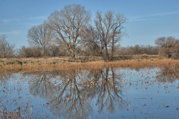 Viltlivsmiljö Vid Loess Bluff National Wildlife Refuge Missouri — Stockfoto