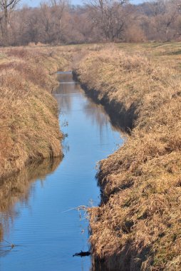 Kırsal Nebraska 'da sonbahar renkli otlar küçük bir derenin etrafını sarıyor