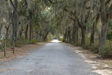 Bonaventure Mezarlığı dünyanın en güzel 10 mezarlığında seçildi! Çarpıcı heykeller, anıtlar ve özenle hazırlanmış mezarlıklar zarif, yosunlu meşe ağaçlarıyla süslenmiş 160 dönümlük araziyi süslüyor..