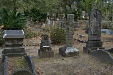 Bonaventure Mezarlığı dünyanın en güzel 10 mezarlığında seçildi! Çarpıcı heykeller, anıtlar ve özenle hazırlanmış mezarlıklar zarif, yosunlu meşe ağaçlarıyla süslenmiş 160 dönümlük araziyi süslüyor..