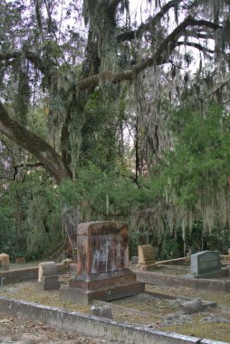 Bonaventure Mezarlığı dünyanın en güzel 10 mezarlığında seçildi! Çarpıcı heykeller, anıtlar ve özenle hazırlanmış mezarlıklar zarif, yosunlu meşe ağaçlarıyla süslenmiş 160 dönümlük araziyi süslüyor..