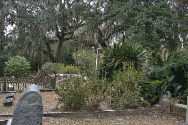 Bonaventure Mezarlığı dünyanın en güzel 10 mezarlığında seçildi! Çarpıcı heykeller, anıtlar ve özenle hazırlanmış mezarlıklar zarif, yosunlu meşe ağaçlarıyla süslenmiş 160 dönümlük araziyi süslüyor..