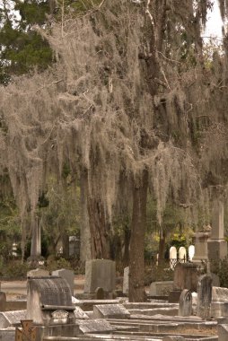 Bonaventure Mezarlığı dünyanın en güzel 10 mezarlığında seçildi! Çarpıcı heykeller, anıtlar ve özenle hazırlanmış mezarlıklar zarif, yosunlu meşe ağaçlarıyla süslenmiş 160 dönümlük araziyi süslüyor..