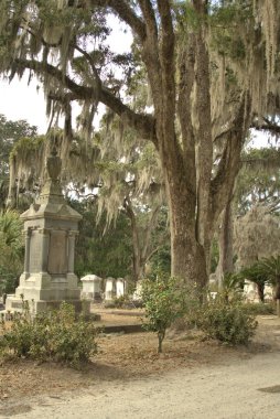 Bonaventure Mezarlığı dünyanın en güzel 10 mezarlığında seçildi! Çarpıcı heykeller, anıtlar ve özenle hazırlanmış mezarlıklar zarif, yosunlu meşe ağaçlarıyla süslenmiş 160 dönümlük araziyi süslüyor..