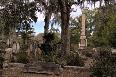 Bonaventure Mezarlığı dünyanın en güzel 10 mezarlığında seçildi! Çarpıcı heykeller, anıtlar ve özenle hazırlanmış mezarlıklar zarif, yosunlu meşe ağaçlarıyla süslenmiş 160 dönümlük araziyi süslüyor..