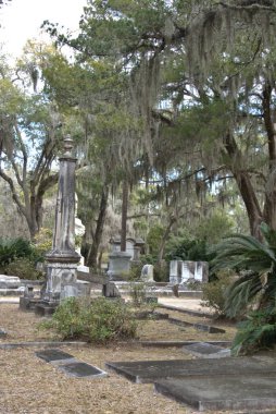 Bonaventure Mezarlığı dünyanın en güzel 10 mezarlığında seçildi! Çarpıcı heykeller, anıtlar ve özenle hazırlanmış mezarlıklar zarif, yosunlu meşe ağaçlarıyla süslenmiş 160 dönümlük araziyi süslüyor..