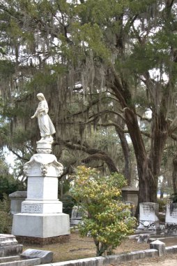 Bonaventure Mezarlığı dünyanın en güzel 10 mezarlığında seçildi! Çarpıcı heykeller, anıtlar ve özenle hazırlanmış mezarlıklar zarif, yosunlu meşe ağaçlarıyla süslenmiş 160 dönümlük araziyi süslüyor..