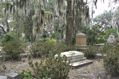 Bonaventure Mezarlığı dünyanın en güzel 10 mezarlığında seçildi! Çarpıcı heykeller, anıtlar ve özenle hazırlanmış mezarlıklar zarif, yosunlu meşe ağaçlarıyla süslenmiş 160 dönümlük araziyi süslüyor..