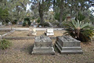 Bonaventure Mezarlığı dünyanın en güzel 10 mezarlığında seçildi! Çarpıcı heykeller, anıtlar ve özenle hazırlanmış mezarlıklar zarif, yosunlu meşe ağaçlarıyla süslenmiş 160 dönümlük araziyi süslüyor..