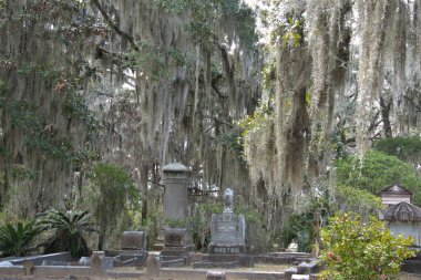 Bonaventure Mezarlığı dünyanın en güzel 10 mezarlığında seçildi! Çarpıcı heykeller, anıtlar ve özenle hazırlanmış mezarlıklar zarif, yosunlu meşe ağaçlarıyla süslenmiş 160 dönümlük araziyi süslüyor..