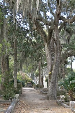 Bonaventure Mezarlığı dünyanın en güzel 10 mezarlığında seçildi! Çarpıcı heykeller, anıtlar ve özenle hazırlanmış mezarlıklar zarif, yosunlu meşe ağaçlarıyla süslenmiş 160 dönümlük araziyi süslüyor..