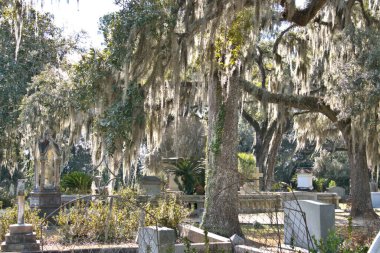 Bonaventure Mezarlığı dünyanın en güzel 10 mezarlığında seçildi! Çarpıcı heykeller, anıtlar ve özenle hazırlanmış mezarlıklar zarif, yosunlu meşe ağaçlarıyla süslenmiş 160 dönümlük araziyi süslüyor..