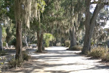Bonaventure Mezarlığı dünyanın en güzel 10 mezarlığında seçildi! Çarpıcı heykeller, anıtlar ve özenle hazırlanmış mezarlıklar zarif, yosunlu meşe ağaçlarıyla süslenmiş 160 dönümlük araziyi süslüyor..
