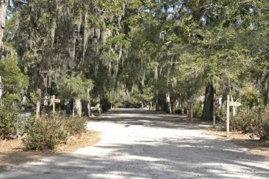 Bonaventure Mezarlığı dünyanın en güzel 10 mezarlığında seçildi! Çarpıcı heykeller, anıtlar ve özenle hazırlanmış mezarlıklar zarif, yosunlu meşe ağaçlarıyla süslenmiş 160 dönümlük araziyi süslüyor..