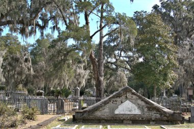 Bonaventure Mezarlığı dünyanın en güzel 10 mezarlığında seçildi! Çarpıcı heykeller, anıtlar ve özenle hazırlanmış mezarlıklar zarif, yosunlu meşe ağaçlarıyla süslenmiş 160 dönümlük araziyi süslüyor..