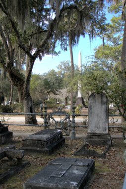 Bonaventure Mezarlığı dünyanın en güzel 10 mezarlığında seçildi! Çarpıcı heykeller, anıtlar ve özenle hazırlanmış mezarlıklar zarif, yosunlu meşe ağaçlarıyla süslenmiş 160 dönümlük araziyi süslüyor..