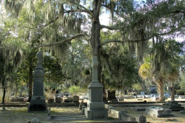 Bonaventure Mezarlığı dünyanın en güzel 10 mezarlığında seçildi! Çarpıcı heykeller, anıtlar ve özenle hazırlanmış mezarlıklar zarif, yosunlu meşe ağaçlarıyla süslenmiş 160 dönümlük araziyi süslüyor..