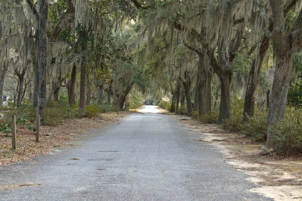 Bonaventure Cemetery Wurde Die Top Der Schönsten Friedhöfe Der Welt — Stockfoto