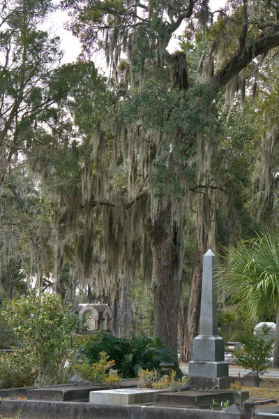 Bonaventure Cemetery Fue Votado Entre Los Cementerios Más Bellos Del — Foto de Stock